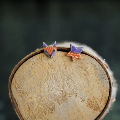 Žiūri į žvaigždelę