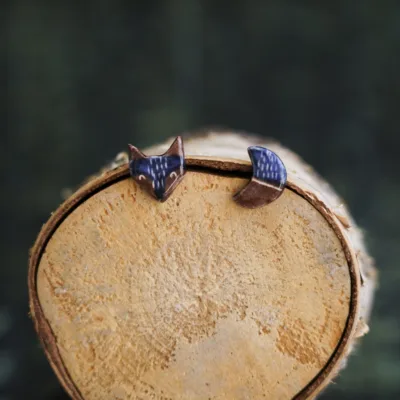 Vakaroja su mėnuliu