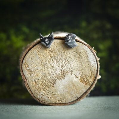 Tamsios nakties lapė