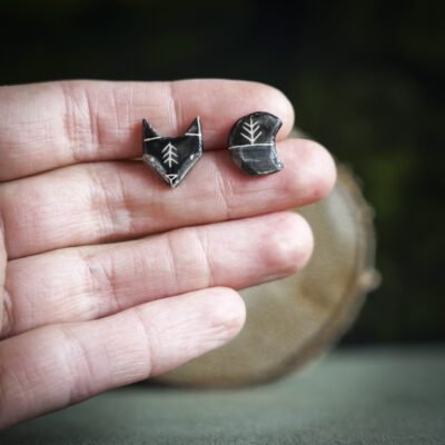 Tamsios nakties lapė