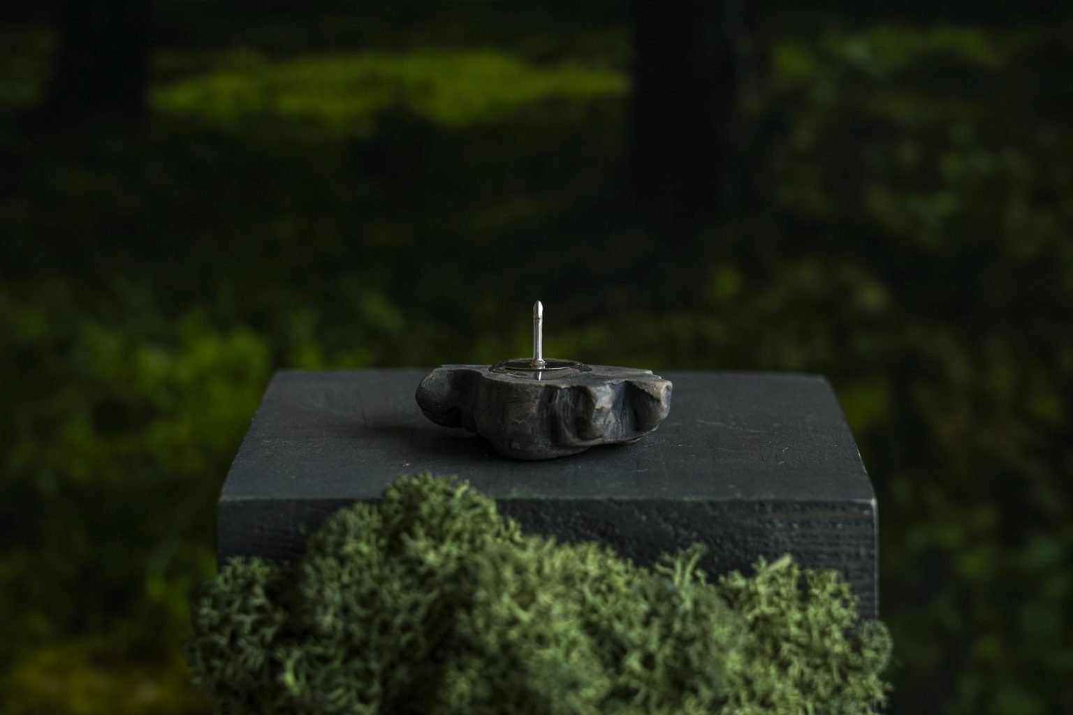 Šamanas rudasis reljefinė segė - Image 5