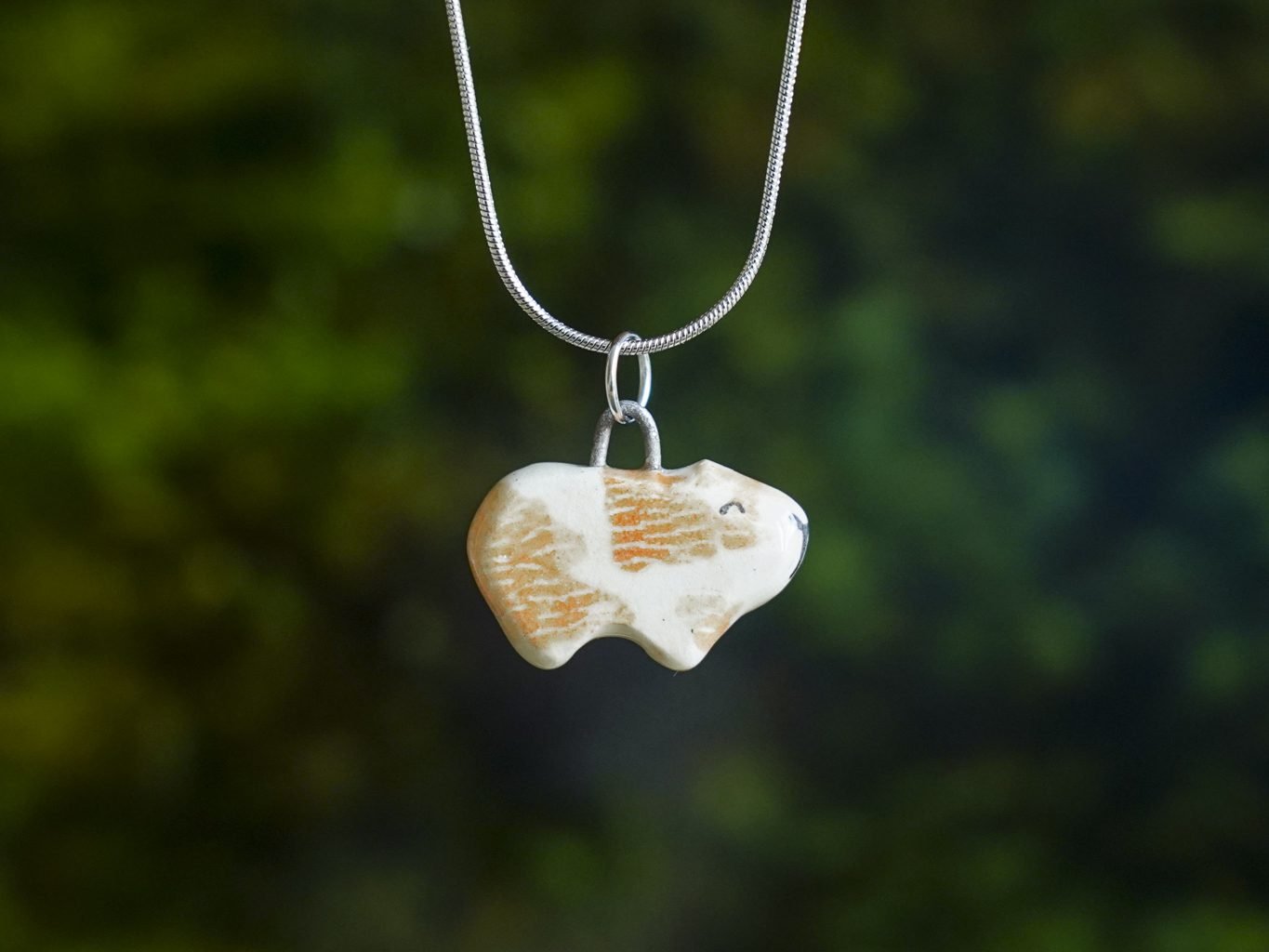 Jūrų paršelis - Image 4