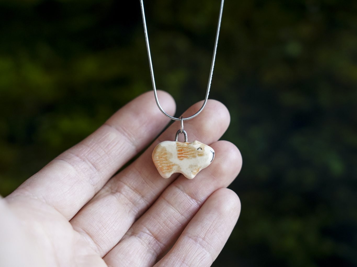 Jūrų paršelis - Image 3