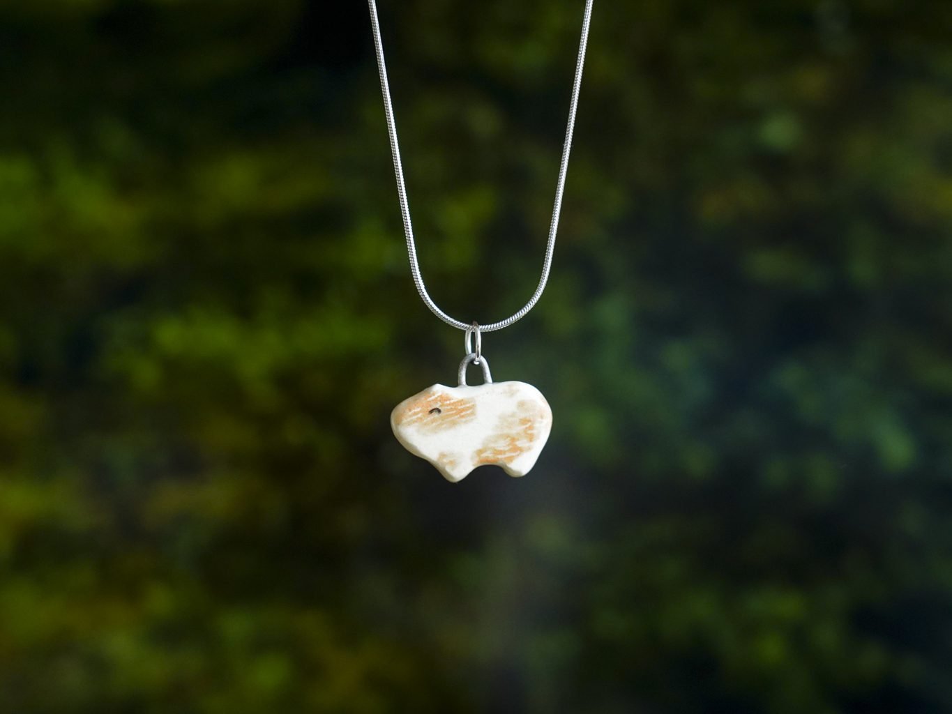 Jūrų paršelis - Image 6