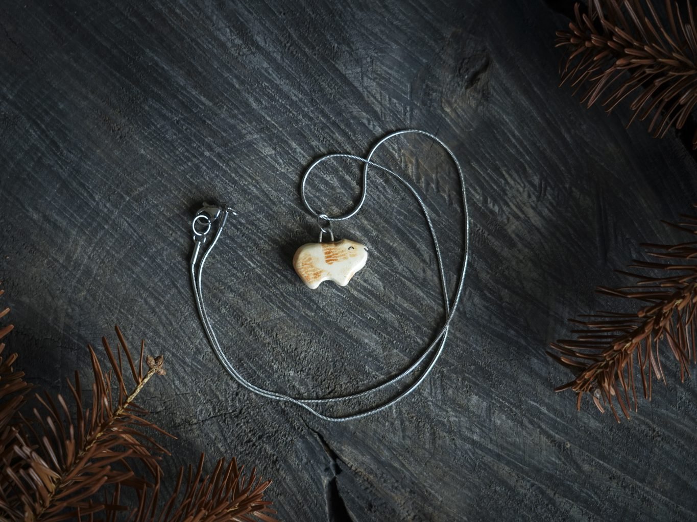 Jūrų paršelis - Image 2