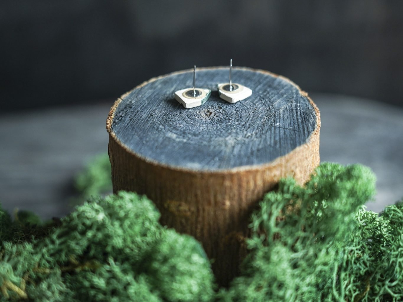 Vasarnamiai - Image 3