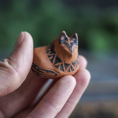 Smilkalinė Snaudžianti lapė