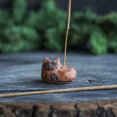 Smilkalinė Taškuotas katinas