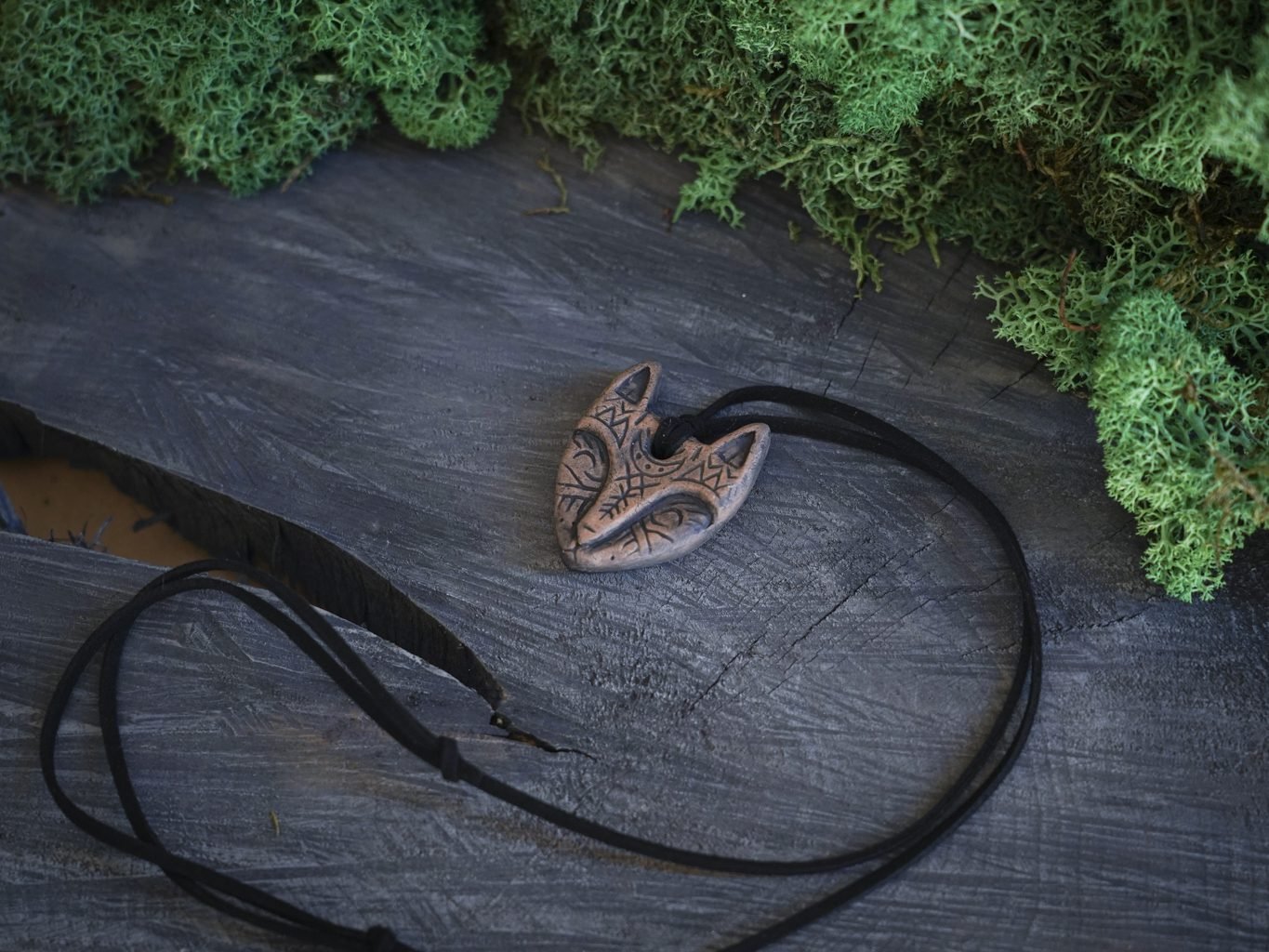 Viską reginti rudoji lapė - Image 5