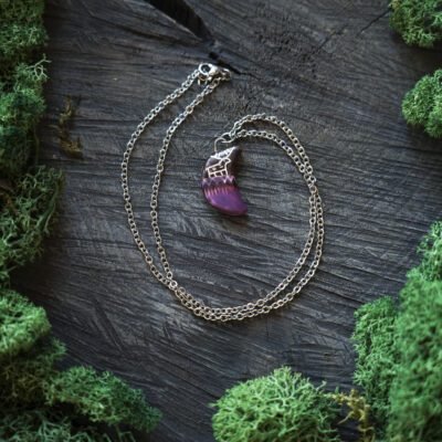 Pirmosios kanopos Mėnulyje