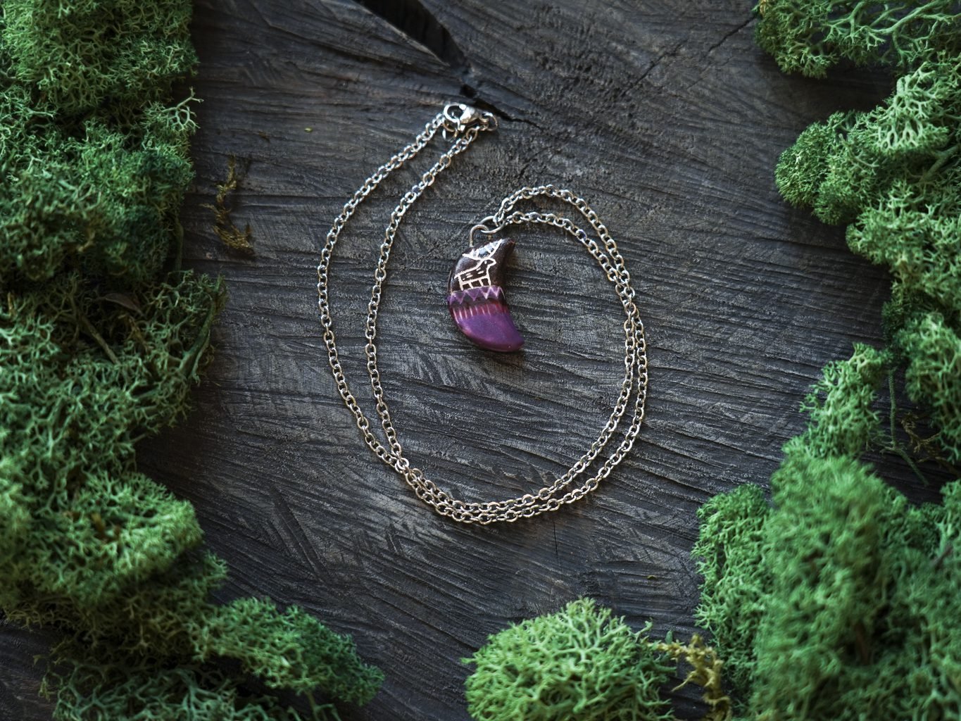 Pirmosios kanopos Mėnulyje - Image 2