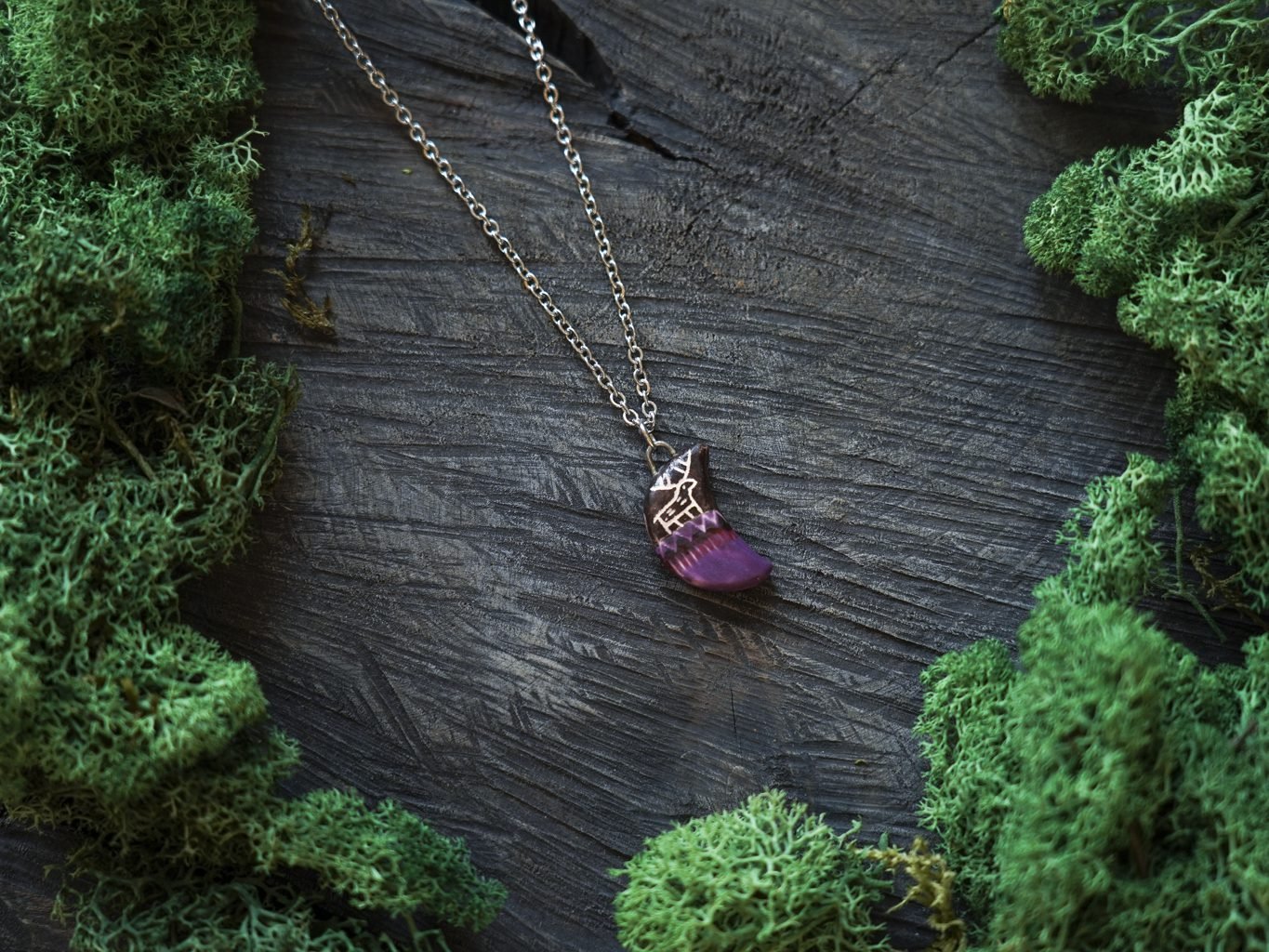 Pirmosios kanopos Mėnulyje - Image 3