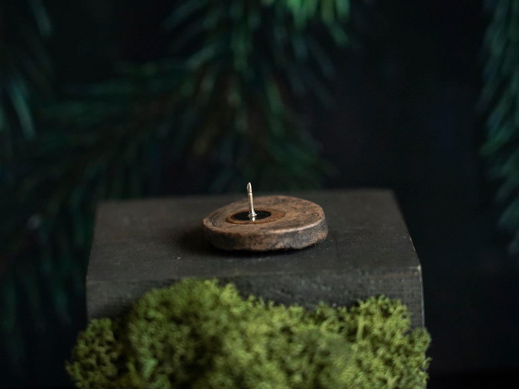 Saulutė ruda - Image 3